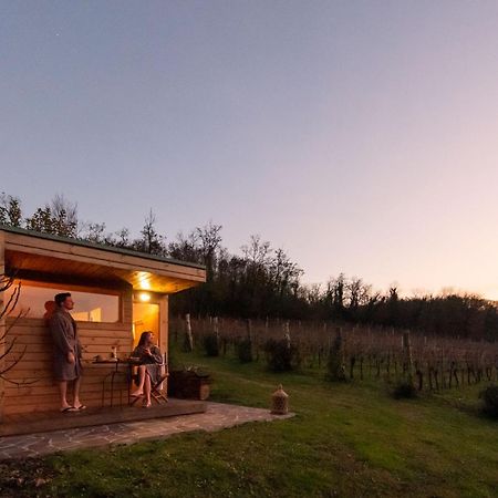 Agriturismo Terre Bianche Teolo Dış mekan fotoğraf
