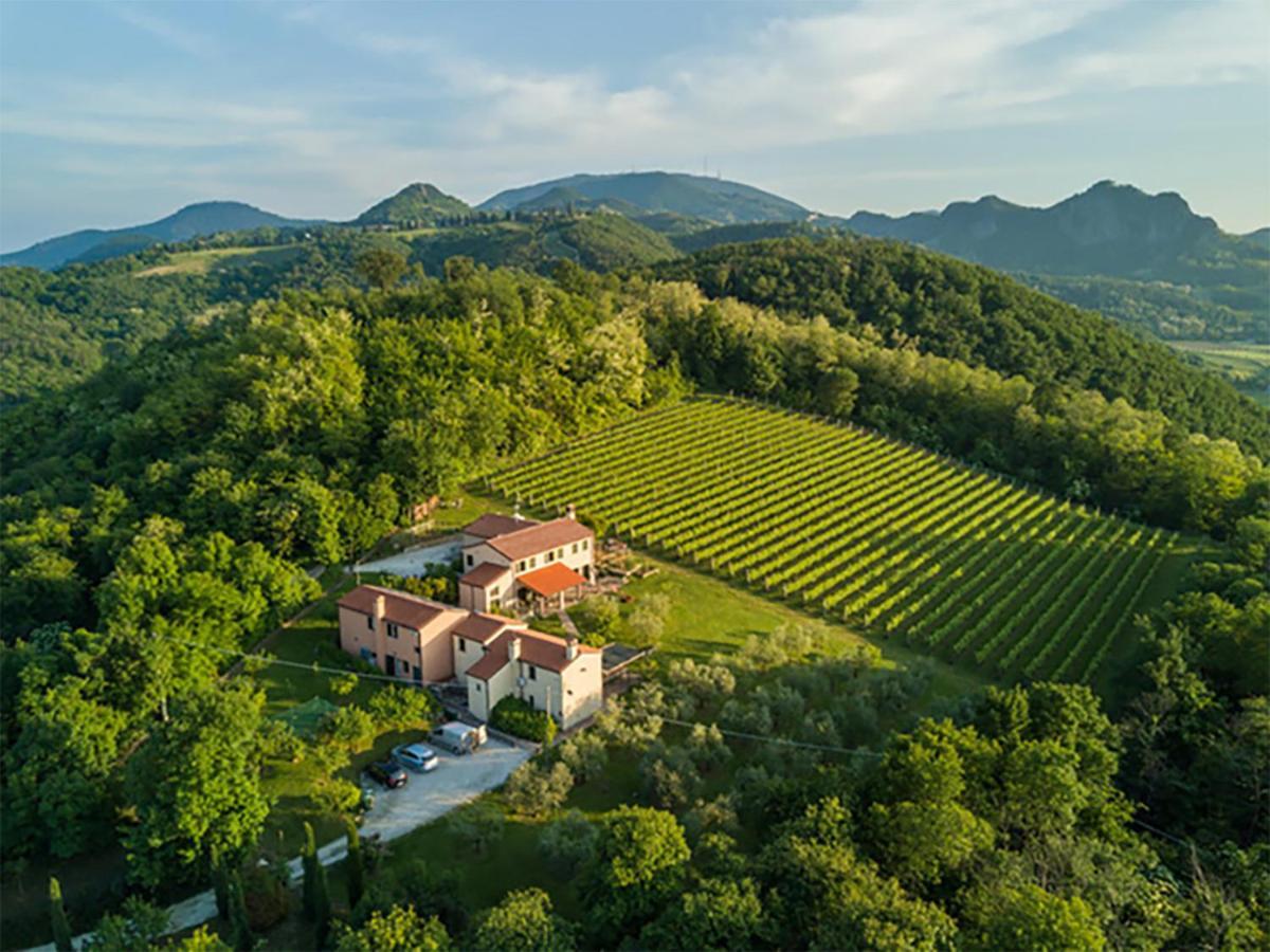 Agriturismo Terre Bianche Teolo Dış mekan fotoğraf