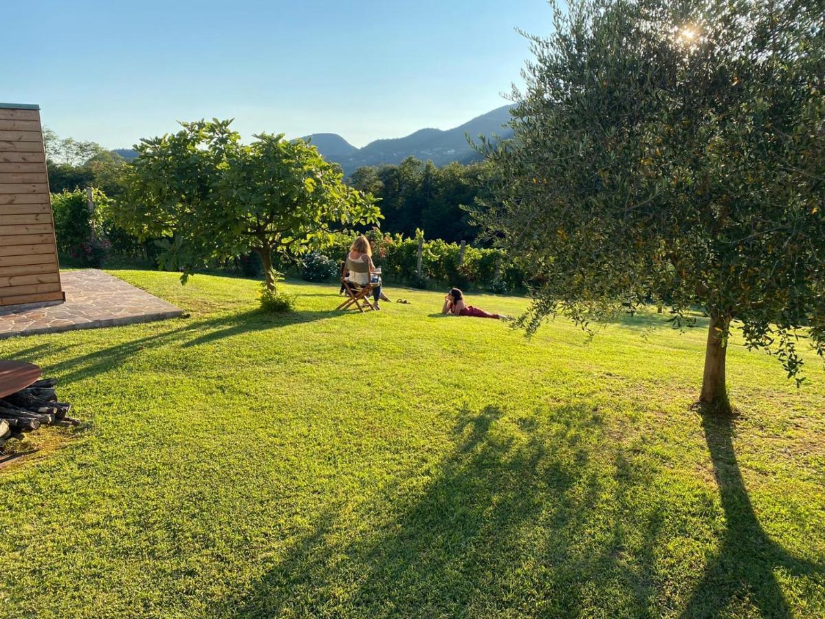 Agriturismo Terre Bianche Teolo Dış mekan fotoğraf