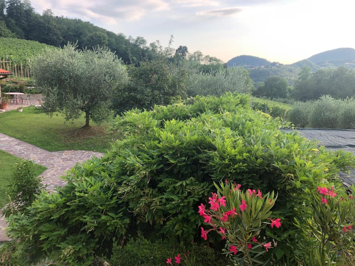 Agriturismo Terre Bianche Teolo Dış mekan fotoğraf